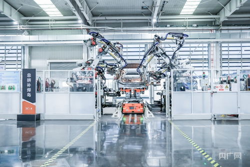 “十五五”启新程 向新向智，机器人解锁产业新赛道